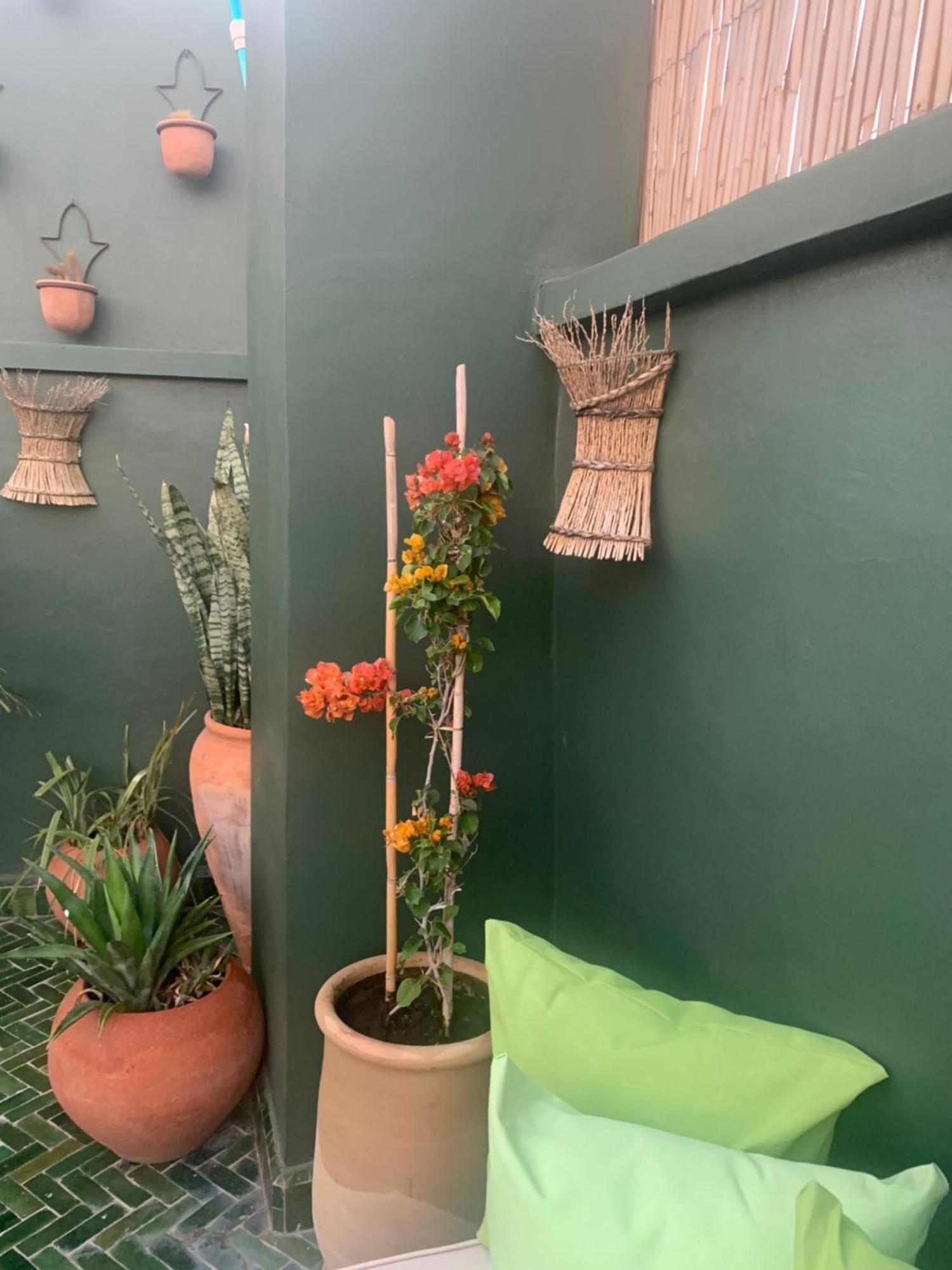 Hotel Riad Olive Privatif 4 Personnes Marrakesz Zewnętrze zdjęcie